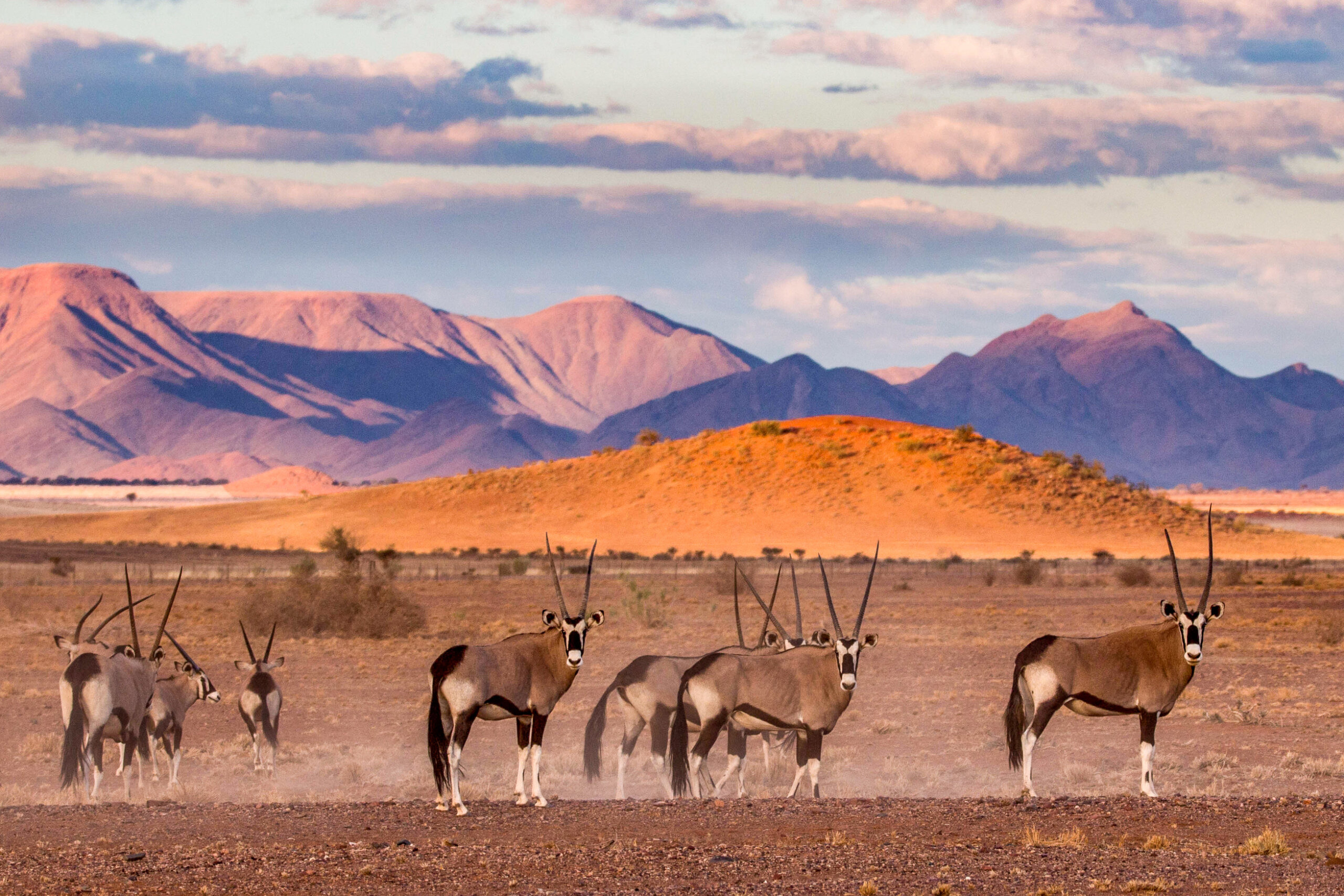 1748329296704_5-Days-Namibia-South-Africa-Tour