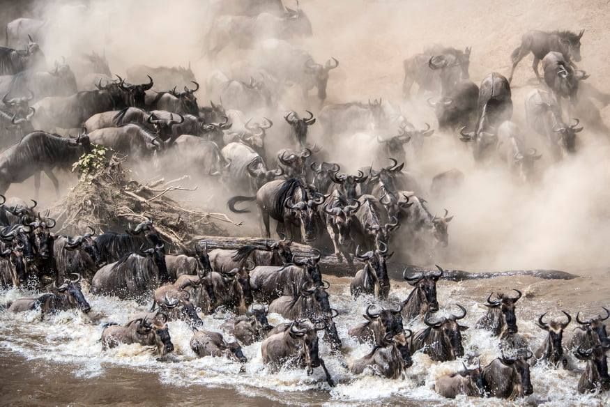 4410_l
