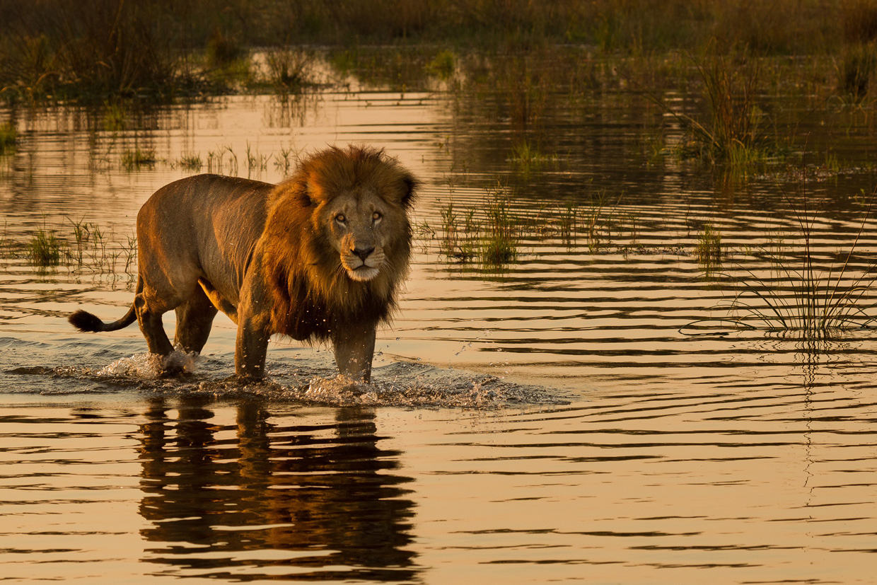 Botswana-Gallery-3