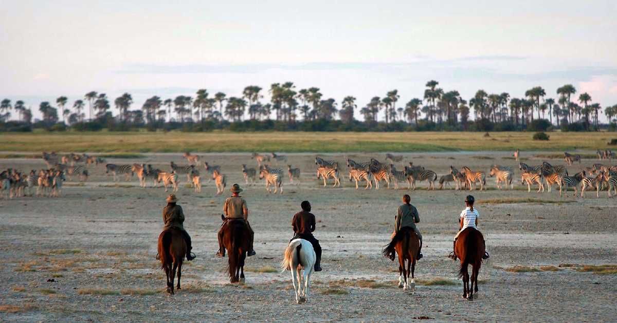 Botswana-Gallery-4