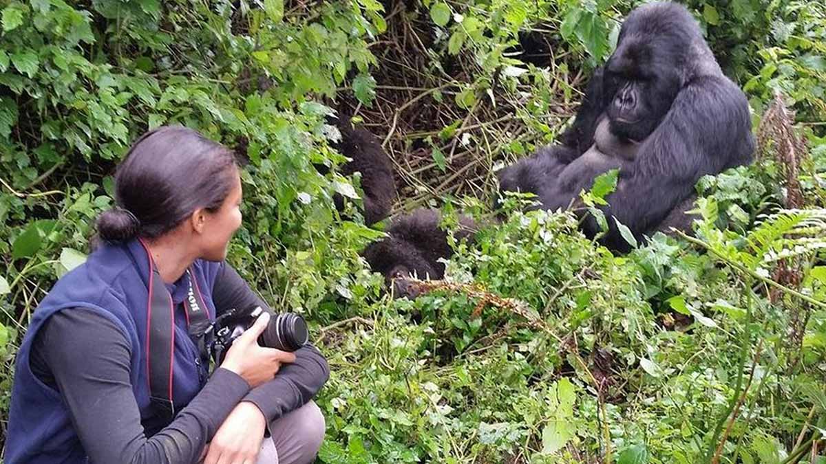 Bwindi impenetrable : Uganda gorilla trekking safaris