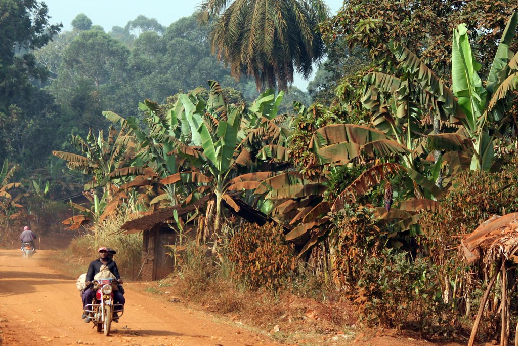 Camerun-Gallery-1