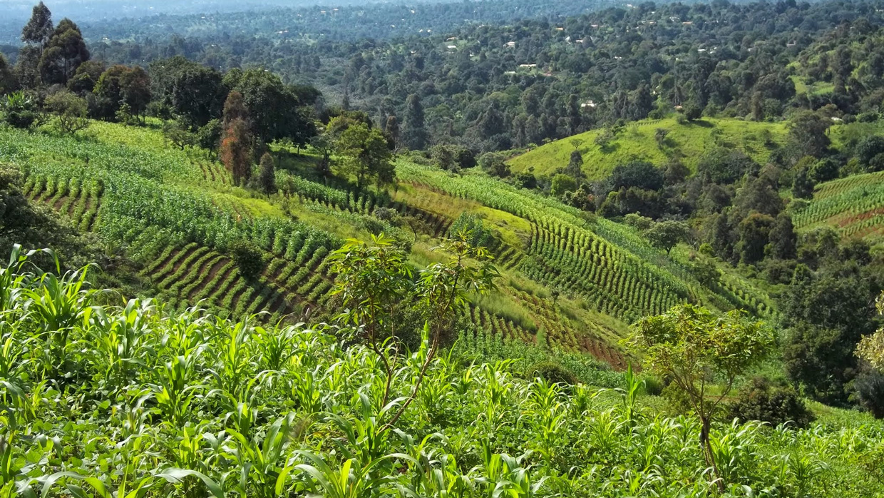 Camerun-Gallery-2
