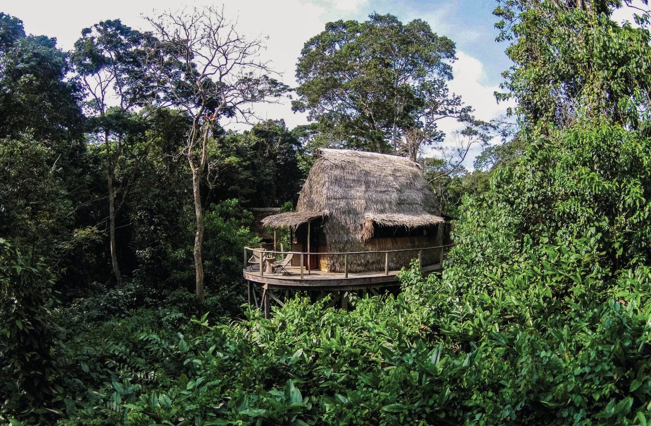Congo-Gallery-1