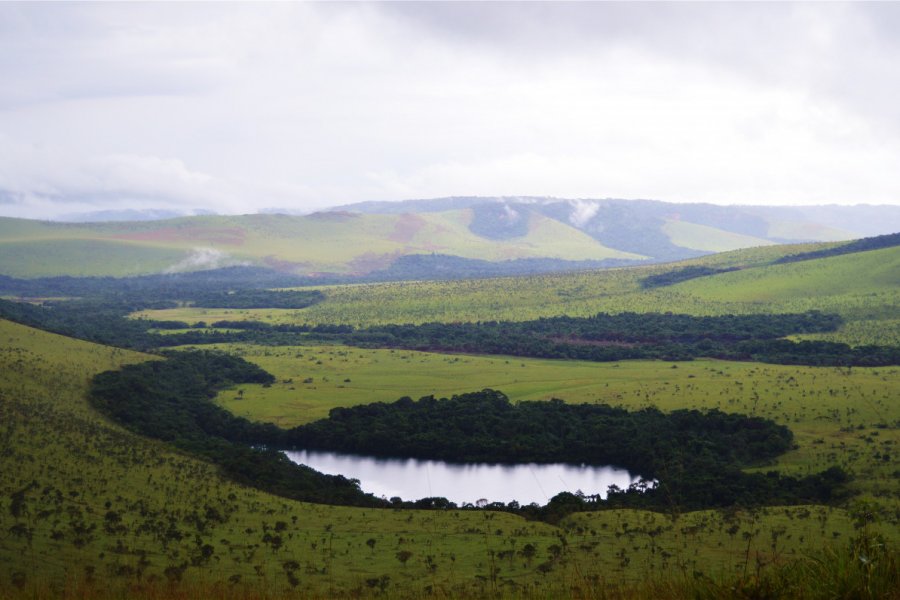 Congo-Gallery-3