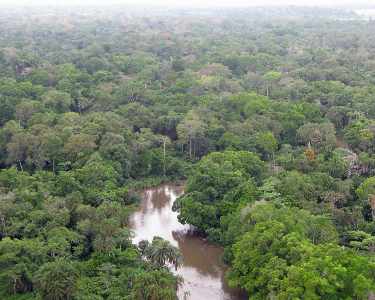 Congo-Gallery-5