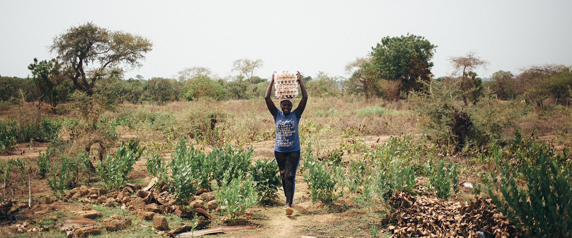 Guinea-Bissau-Gallery-2