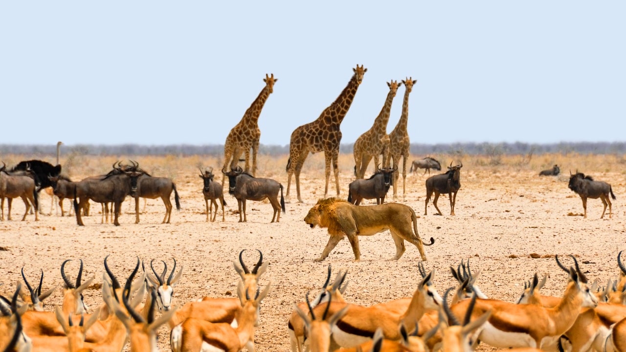 Namibia-quando-andare-1 (1)