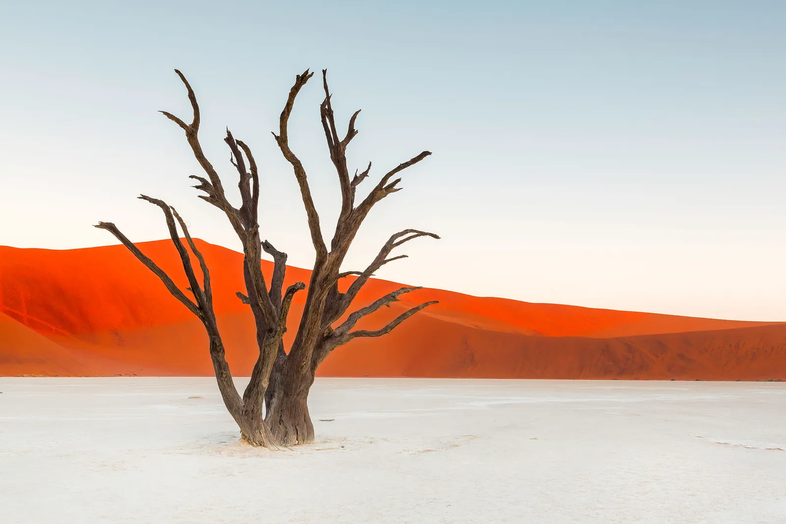 Namibia.jpg (1)