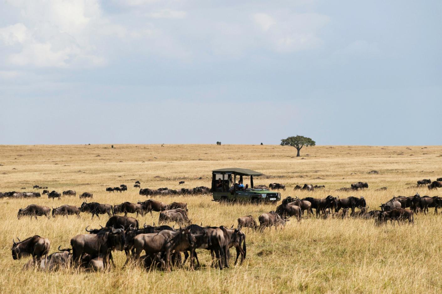 Somak-Safaris-mezzi
