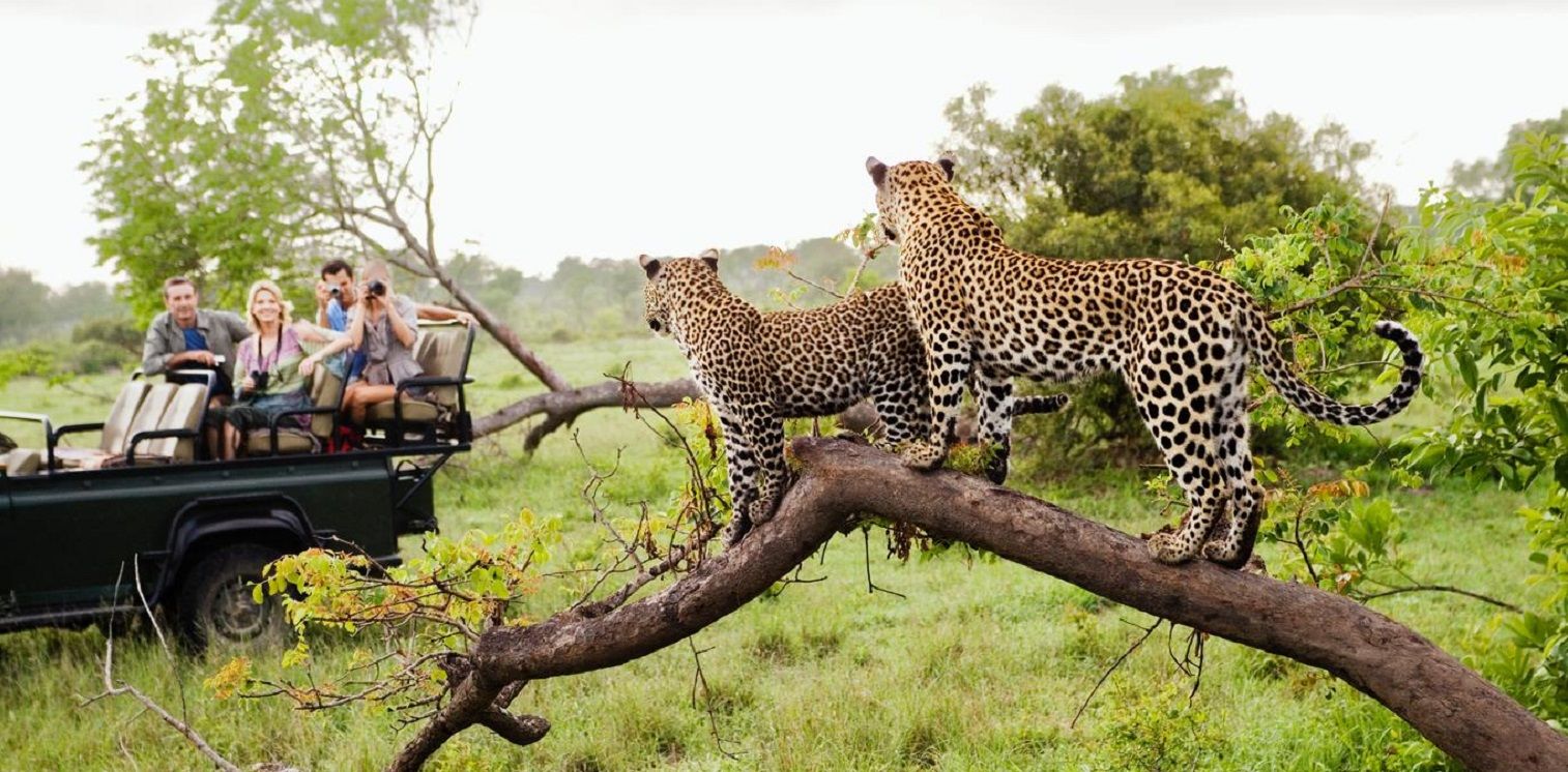 Soutern-Afric-Autisiti-e-mezai-