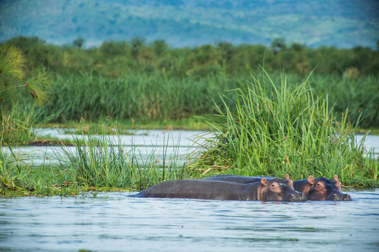 Uganda-gallery-1