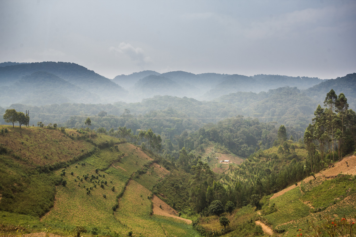 Uganda-gallery-2