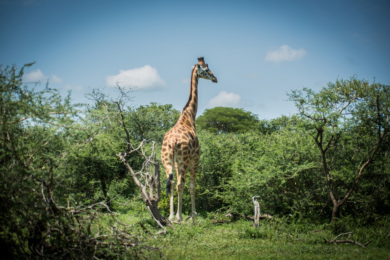 Uganda-gallery-5