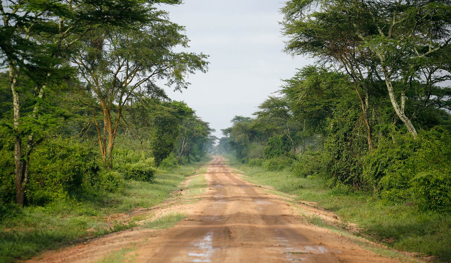 Uganda-paesaggi