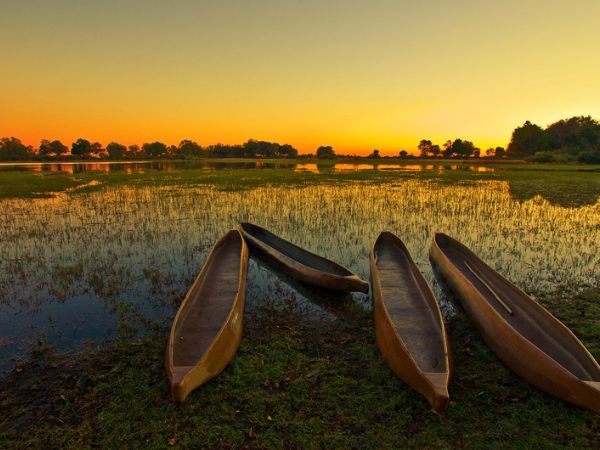 Alba sul Delta dell'Okavango