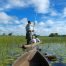 Botswana & Okavango: prodotto premium e politiche di quota