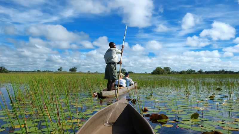 Botswana & Okavango: prodotto premium e politiche di quota