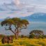 Kenya per il trade: safari & beach per TO e agenzie