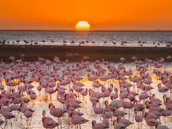 Swakopmund