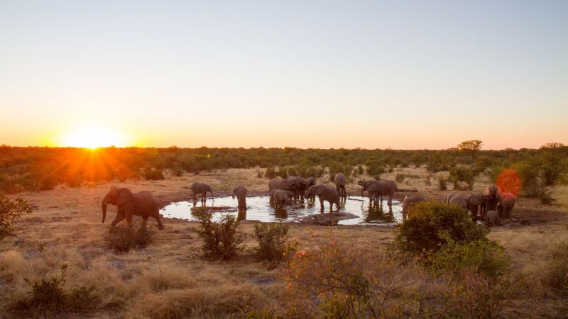 Namibia self-drive: protocolli e assicurazioni per il trade