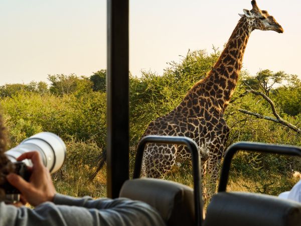 Fotografo che scatta foto di una giraffa durante un safari in sudafriica