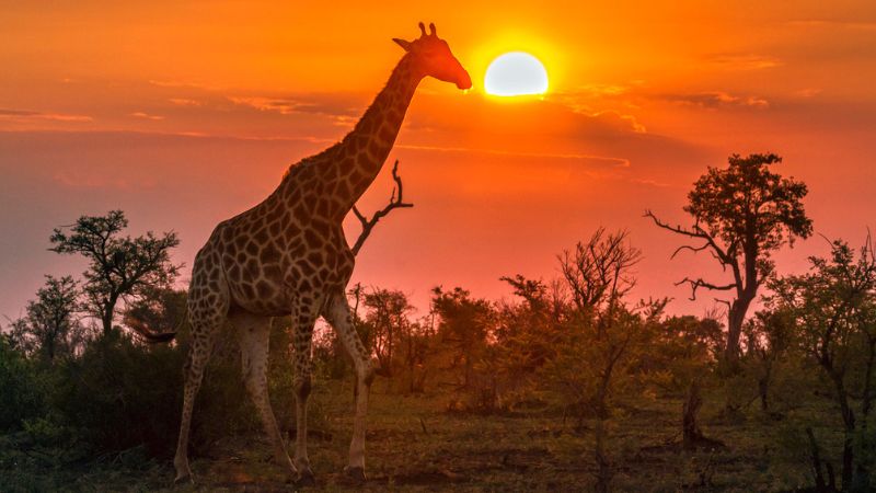 Sudafrica per famiglie
