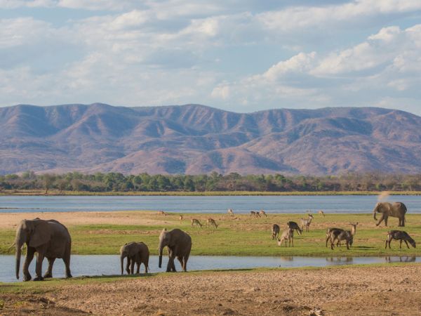 Zambesi River