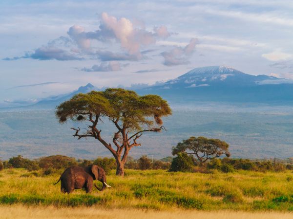 turismo africano