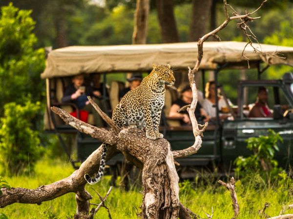 Maasai Mara