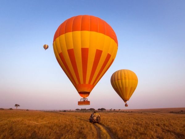 Palloncino safari