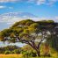 Trend 2026 nel turismo esperienziale africano