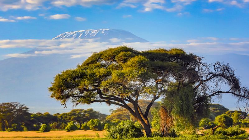 Trend 2026 nel turismo esperienziale africano