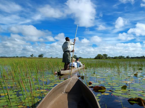Canoe safari