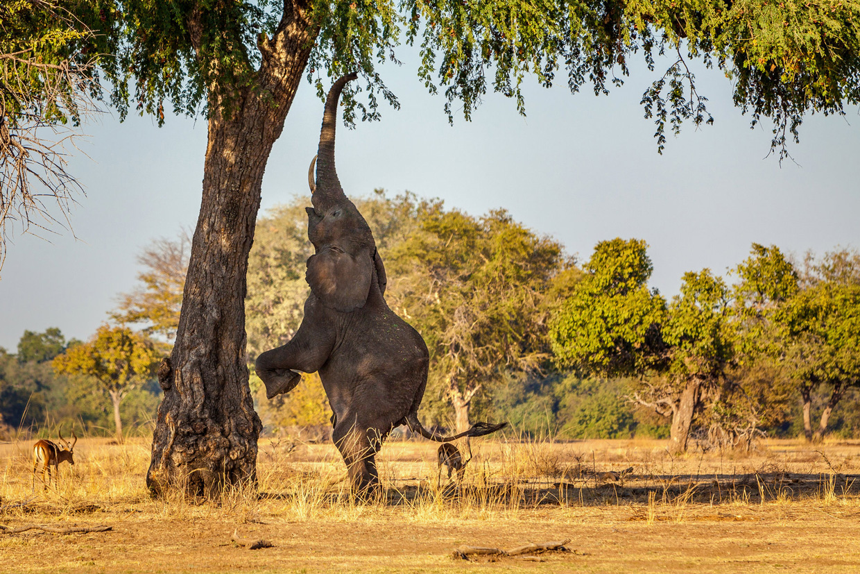 Zambia-Gallery-4 (1)