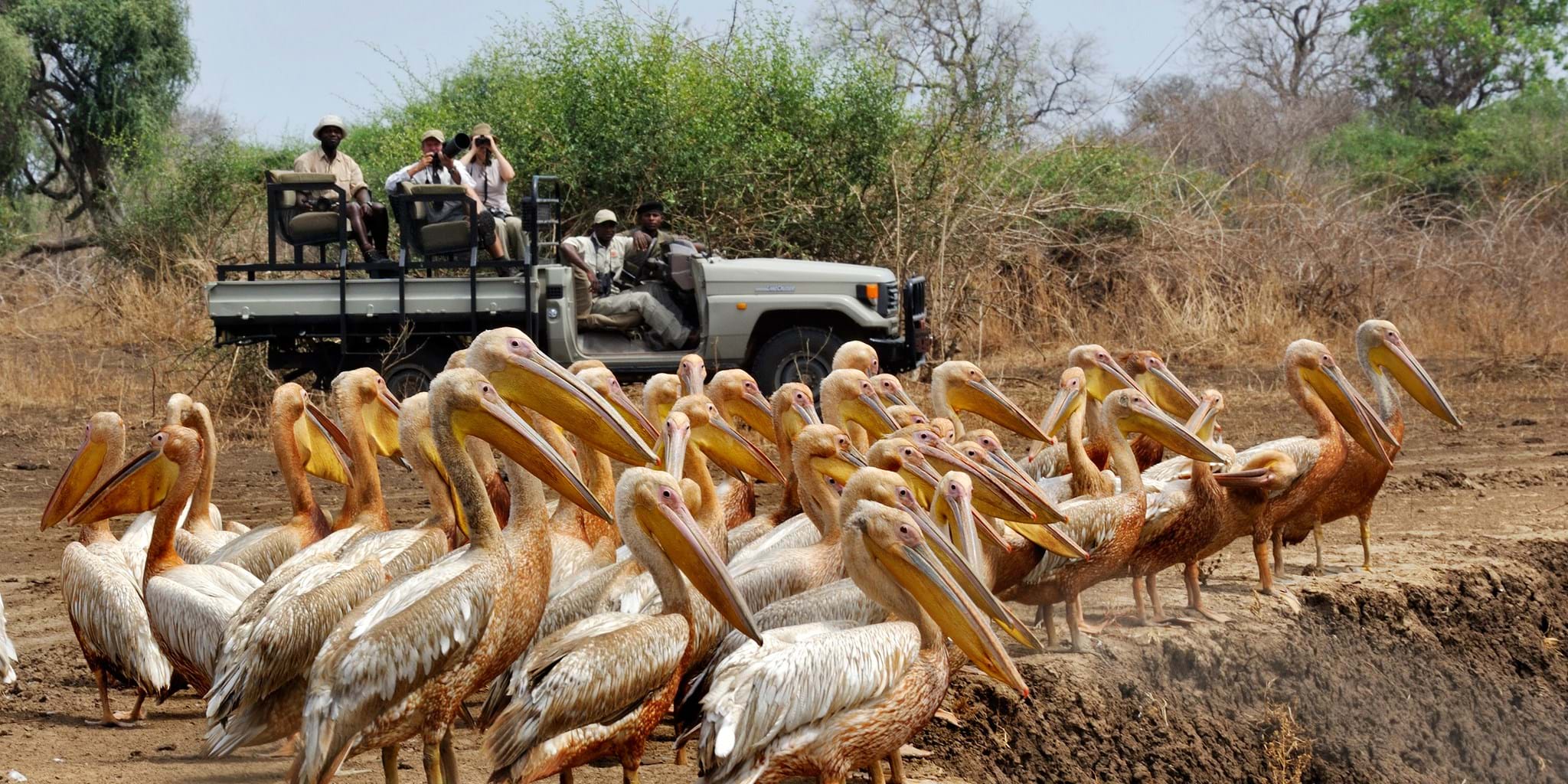 Zambia-gallery-1 (1)