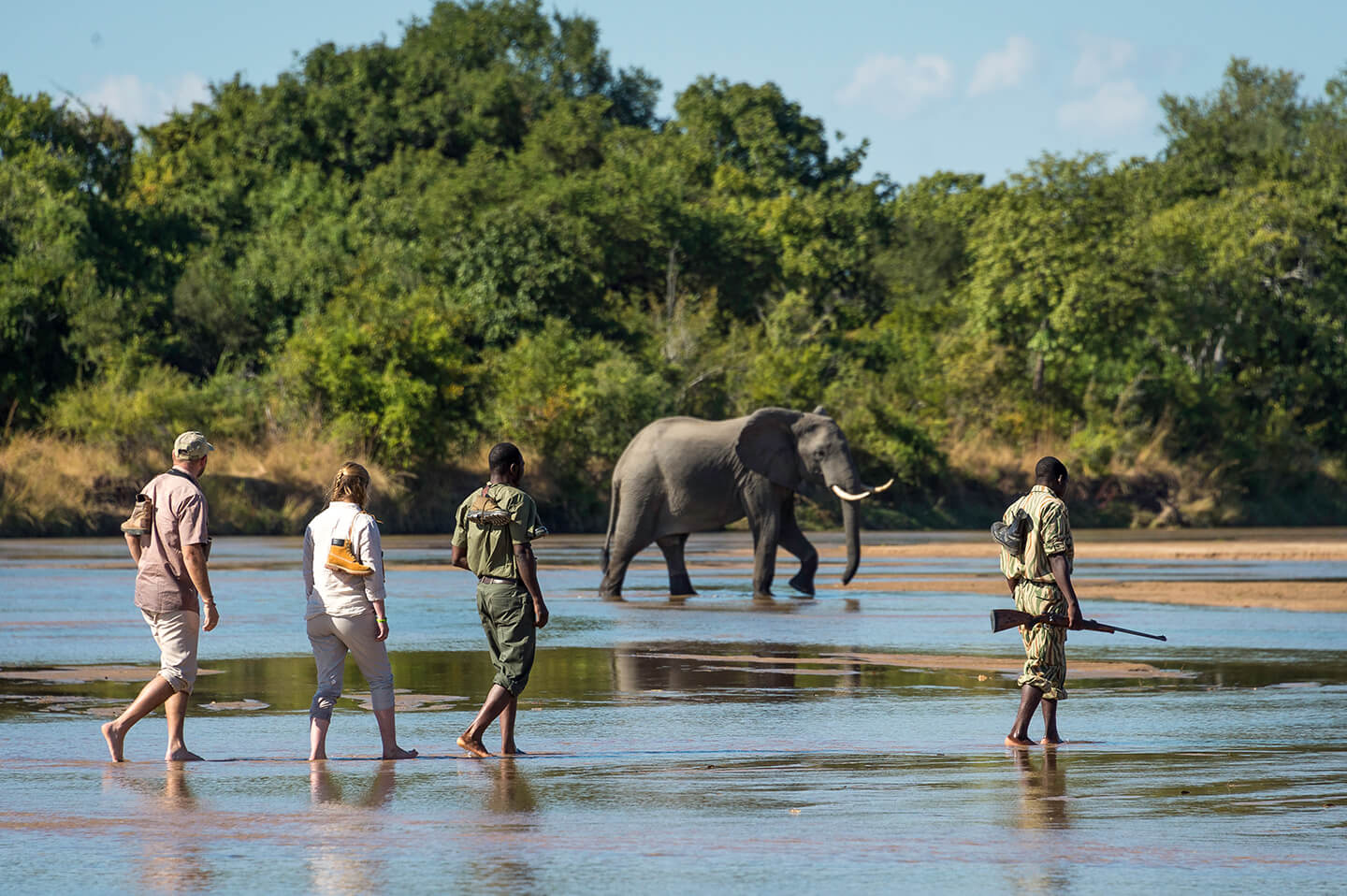 Zambia-safari