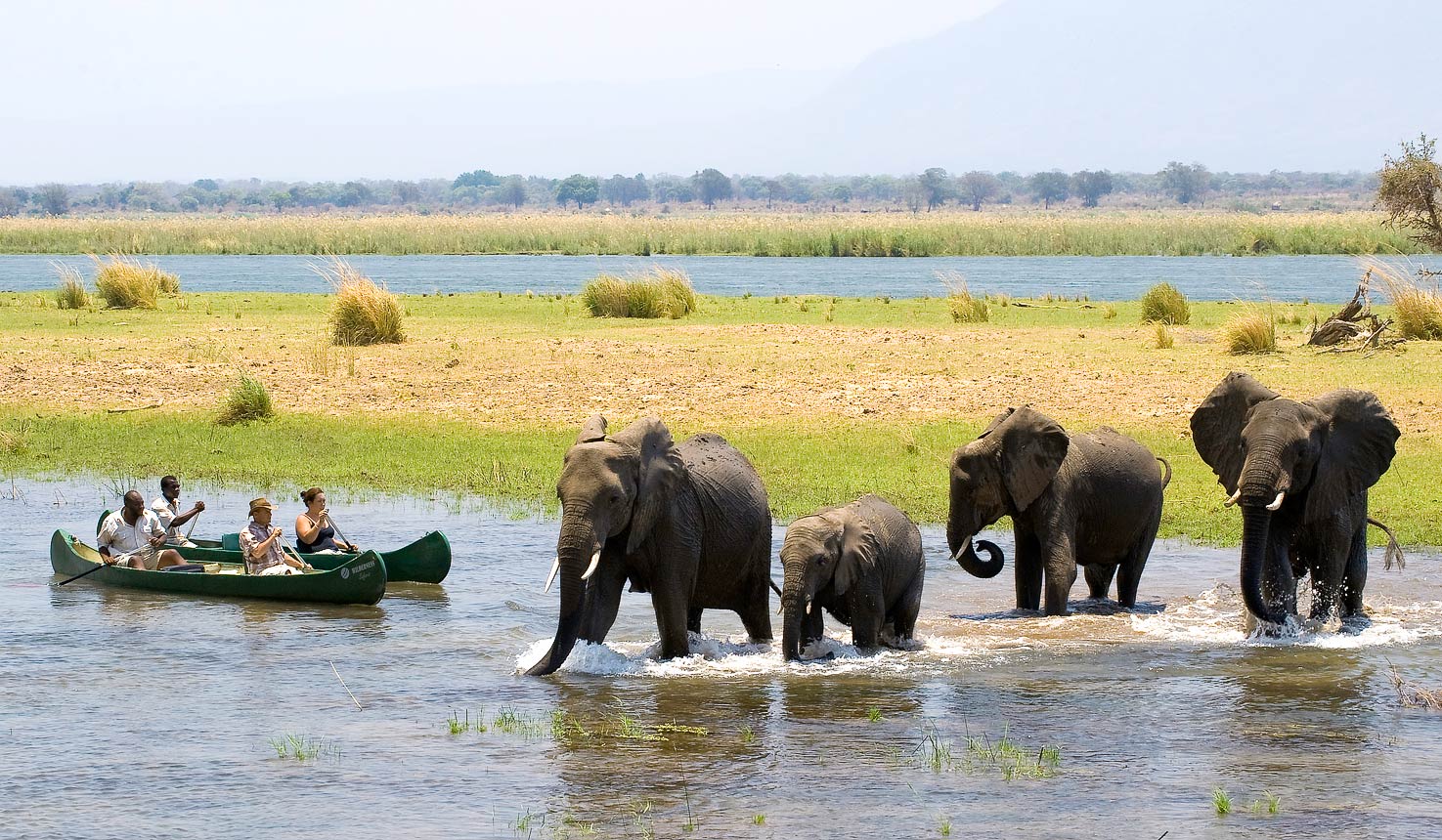 Zimbabwe-Gallery-1 (1)