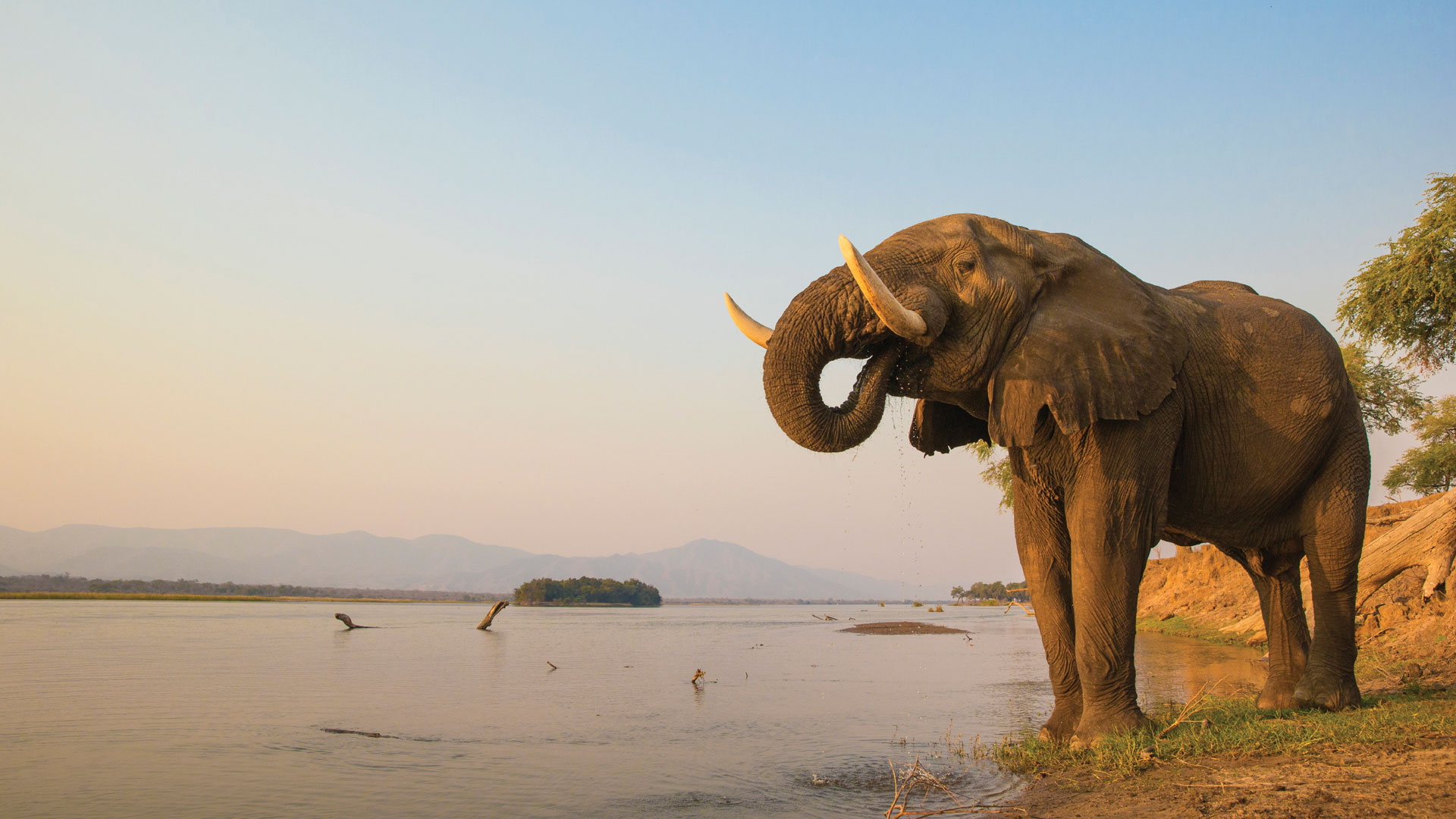 Zimbabwe-Gallery-4 (2)