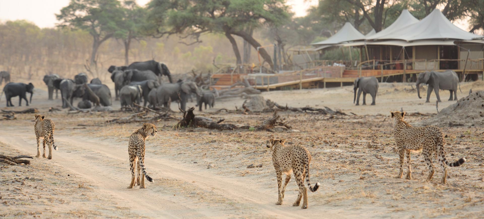 Zimbabwe-Gallery-6 (1)
