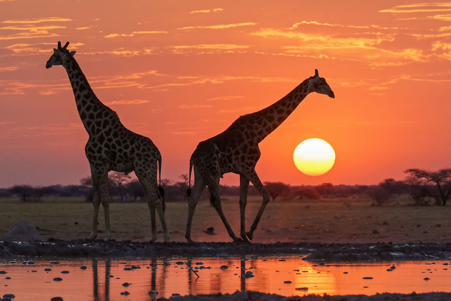 nbts-viaggi-botswana-Nxai-Pan-Parco-Nazionale